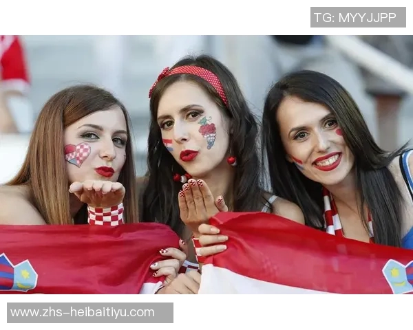 荷兰与奥地利激战正酣足球盛宴引发球迷热情高涨